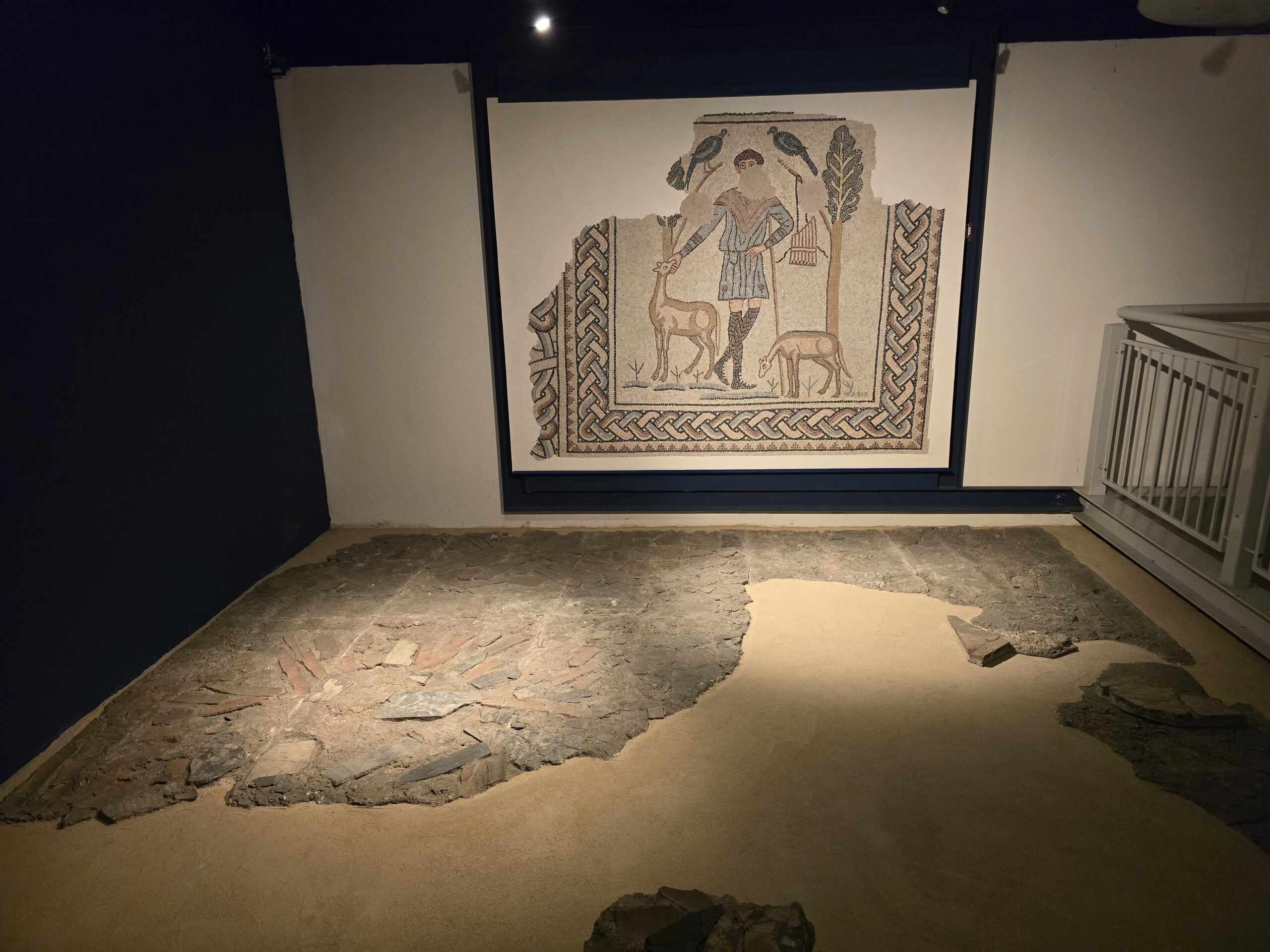 Domus dei Tappeti di Pietra interior with floor mosaics