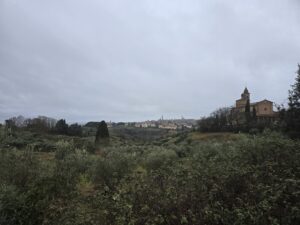 Out of Siena, Into the Hills