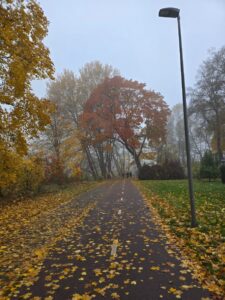 Vilnius – A foggy, chilly “with nature” run.