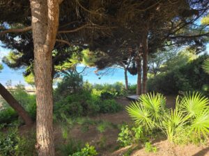 Salou. The Birthday Run Goes Looking for a Cliff.