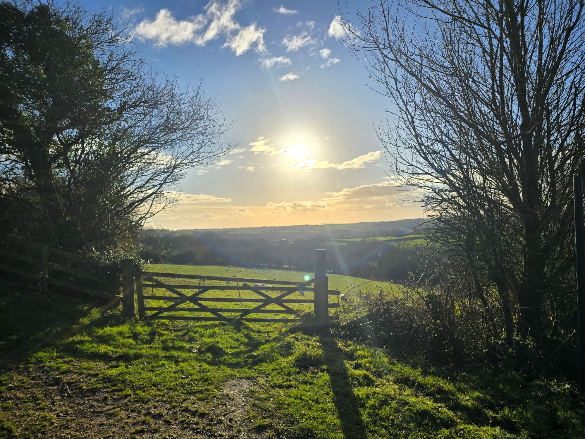 Gate and low winter sun, Dorset countryside — the kind of thing you stop for