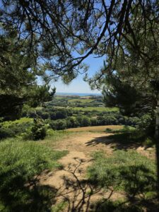 Colmers Hill. Coneygar. Symondsbury. The Route Takes Shape.