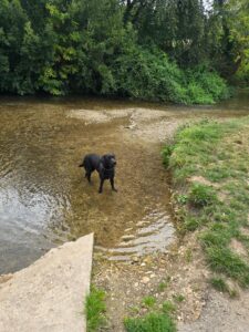 Dorchester to Charminster. The River Does the Talking.