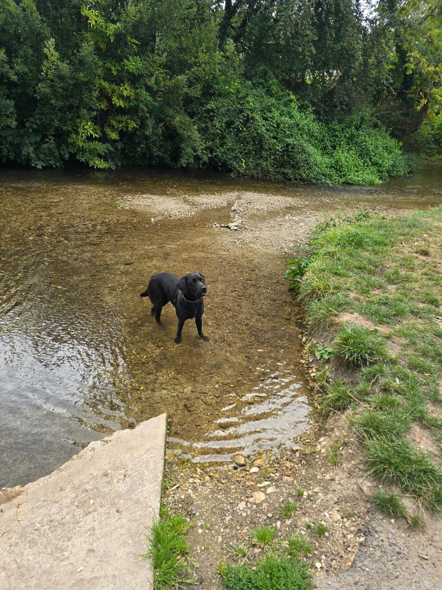 Dorchester to Charminster. The River Does the Talking.